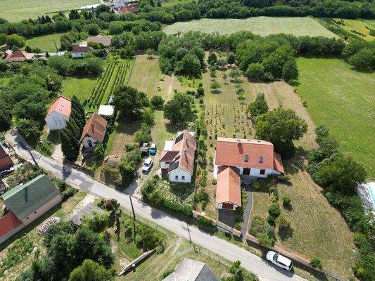 WhatsApp-kép, 2025-09-05, 08.58.08_86ba0967.jpg