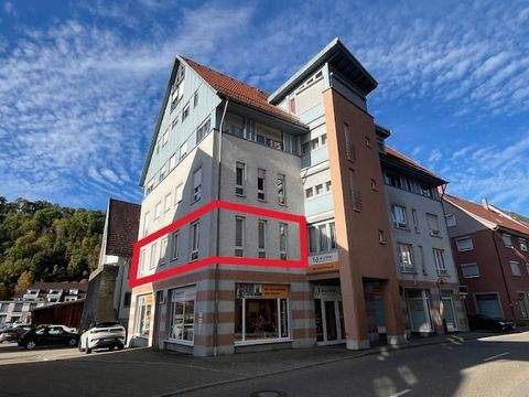 Sulz am Neckar Büros, Büroräume, Büroflächen 