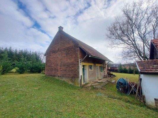 WhatsApp-kép, 2025-11-26, 17.24.13_628ea669.jpg