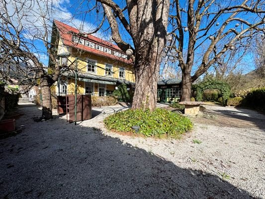 Kastanienbäume im Gastgarten