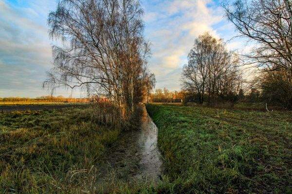 Feldweg und Bach hinter dem Grundstück
