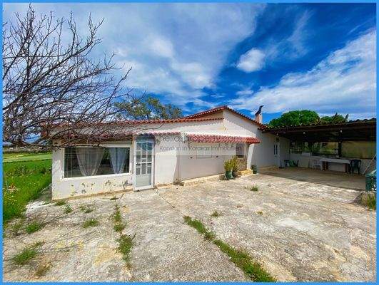 dc06061b25d7470488302edd8b6a6f02-original