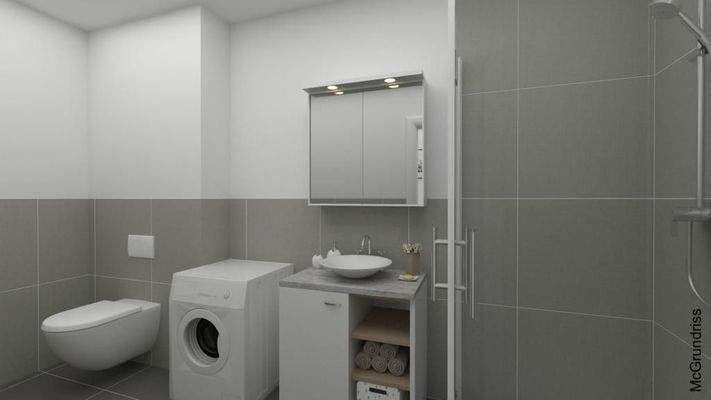 Graz-Gartenwohnung-Bad/WC-Visualisierung