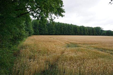 Lüneburg Grundstücke, Lüneburg Grundstück kaufen