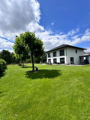 2024-06-23 12.31.09.jpg