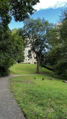 Blick vom Praterweiher