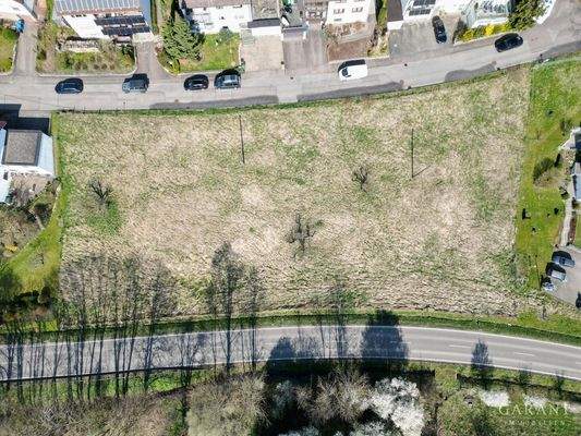 dji fly 20250405 104650 751 1743843078117 photo