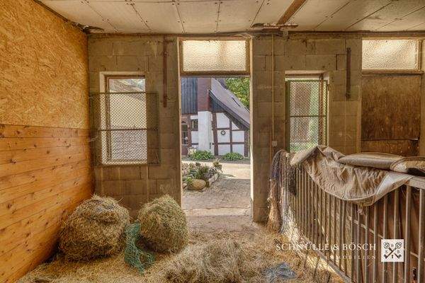 4 Pferdeboxen stehen Ihnen zur Verfügung