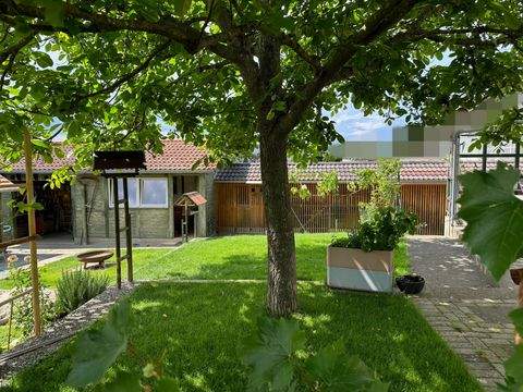 Denkingen Häuser, Denkingen Haus kaufen