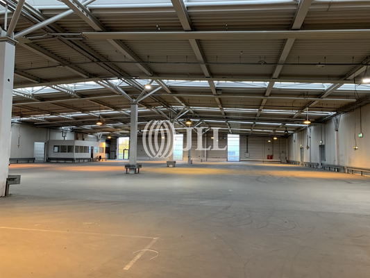 Halle