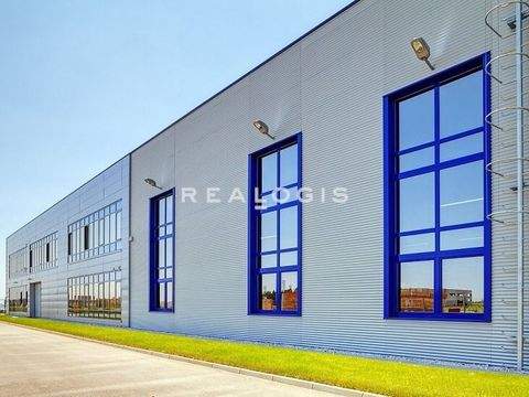 Freyung Halle, Freyung Hallenfläche