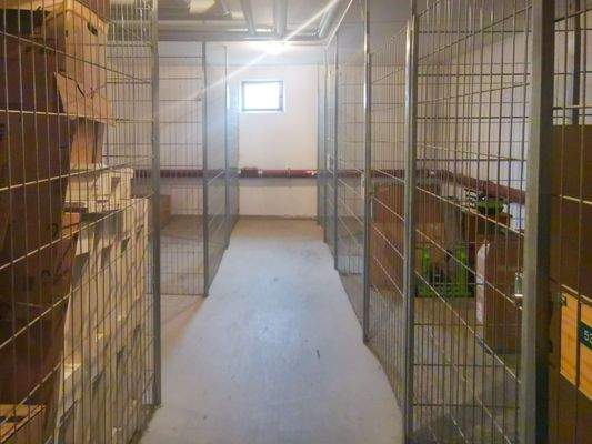 Aufgeräumter Kellerbereich