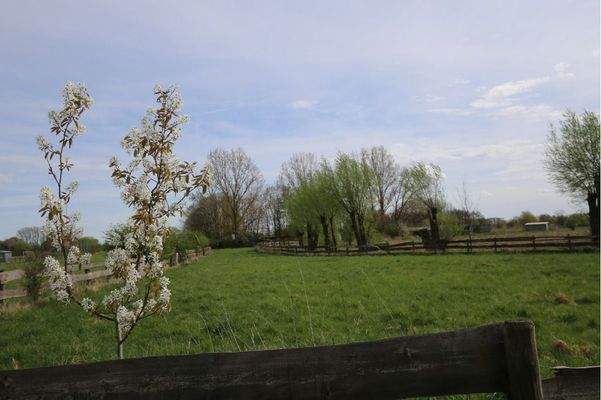 Dieses Grundstück kann zusätzlich bei Bedarf zum angebotenen Grundstück erworben werden