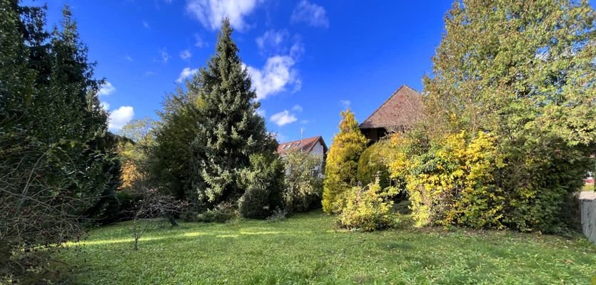 Großes Grundstück mit altem Baumbestand und Ziersträuchern