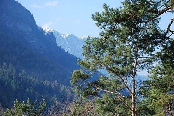 Balkonblick mit Blick auf Reiteralm