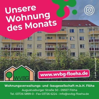 Wohnung des Monats