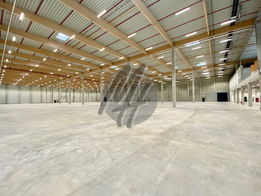 INFOS UNTER: 06171-586000