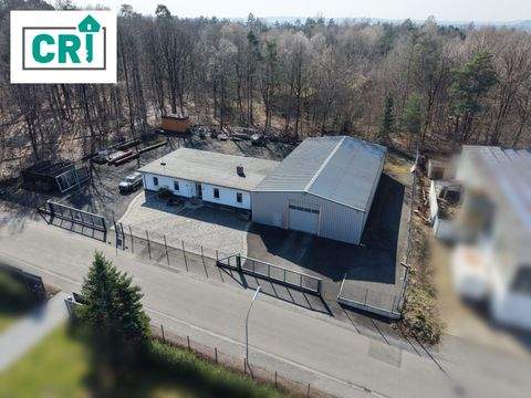 Stadtallendorf Halle, Stadtallendorf Hallenfläche