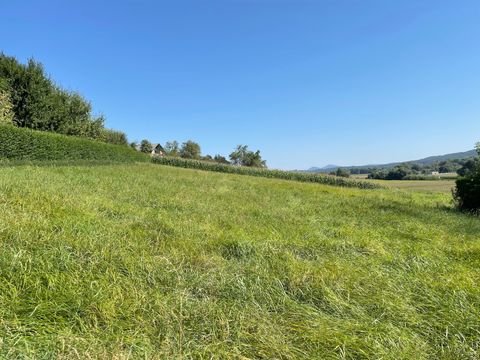 Kirchberg an der Raab Grundstücke, Kirchberg an der Raab Grundstück kaufen