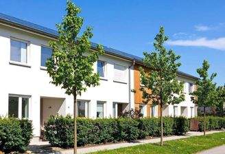 Beispielbild (mit KI-Unterstützung generiert).jpeg