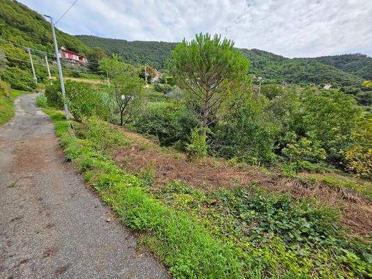 1000088126 - 1K JPEG.jpg