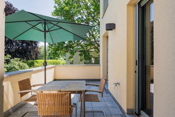 Green refuge under the open sky