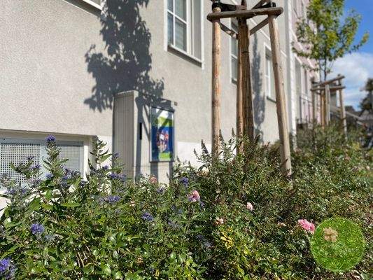 ... mit gepflegten Gartenanlagen ... 