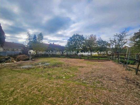 Fläche für die Esel