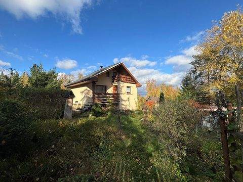 Lauter-Bernsbach Häuser, Lauter-Bernsbach Haus kaufen