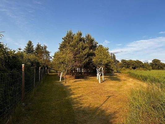 Rückansicht Grundstück