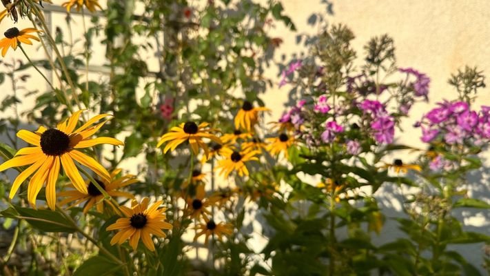 Sonne für Gartenfreunde