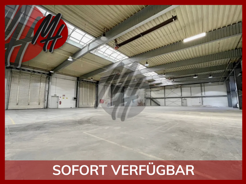 Rödermark Halle, Rödermark Hallenfläche