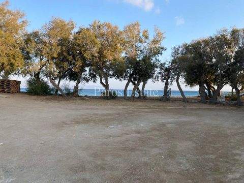 ???? ?????? Grundstücke, ???? ?????? Grundstück kaufen