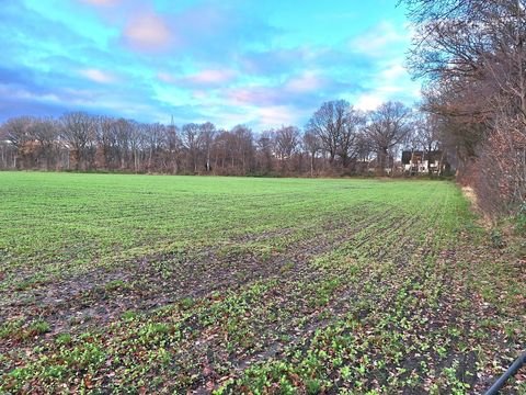 Geestland Bauernhöfe, Landwirtschaft, Geestland Forstwirtschaft