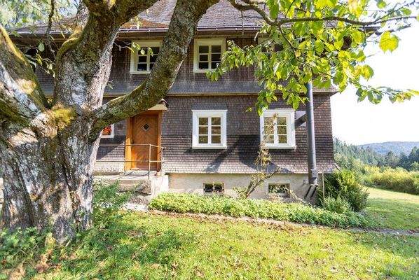 Eingangsbereich nördl. Hofhälfte