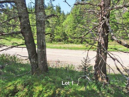 Cape Breton - Wunderschönes 10-Hektar-Areal inmitt