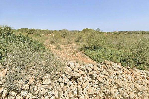 finca-grundstück in ses salines auf mallorca