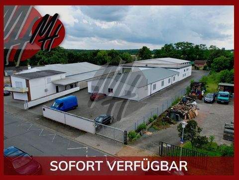 Lorsch Halle, Lorsch Hallenfläche