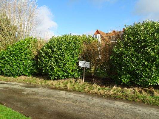 Fritz-Husmann-Weg, Grundstück 2024, 1.JPG