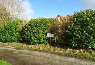 Fritz-Husmann-Weg, Grundstück 2024, 1.JPG