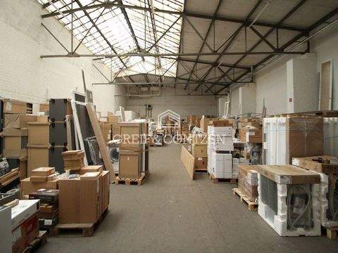 Köln Halle, Köln Hallenfläche