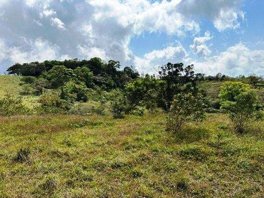 Nachbar AS Arenal See