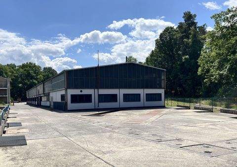 Niesky Halle, Niesky Hallenfläche