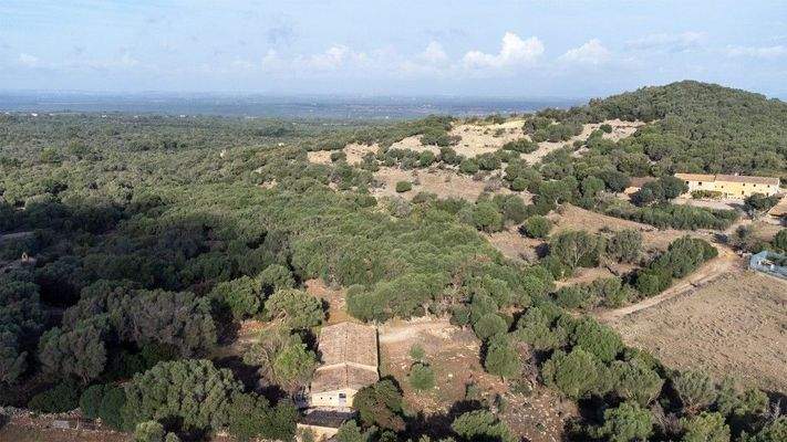 Landwirtschafts-Finca mit mehreren Gebäuden zum Verkauf in Arta, Mallorca