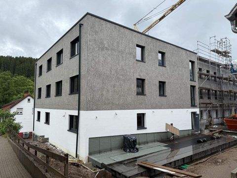 Titisee-Neustadt Wohnungen, Titisee-Neustadt Wohnung mieten