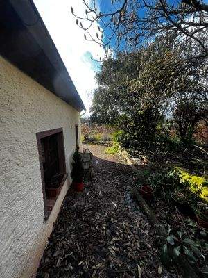 38. Seitlicher Gartenzugang