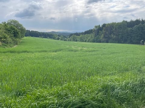 Waidhaus / Reichenau Bauernhöfe, Landwirtschaft, Waidhaus / Reichenau Forstwirtschaft