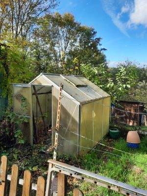 Gewächshaus 