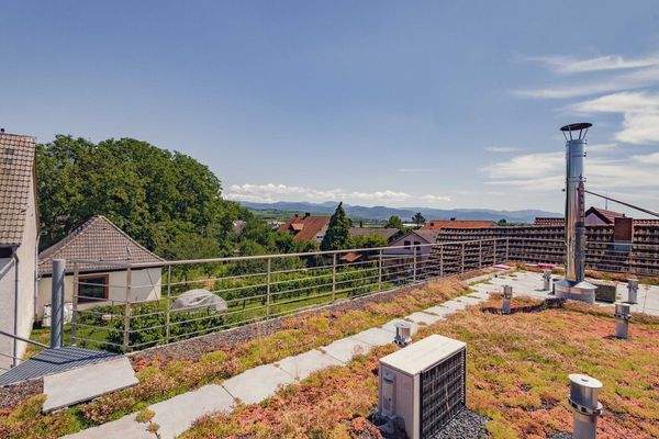 Aussicht über Schallstadt