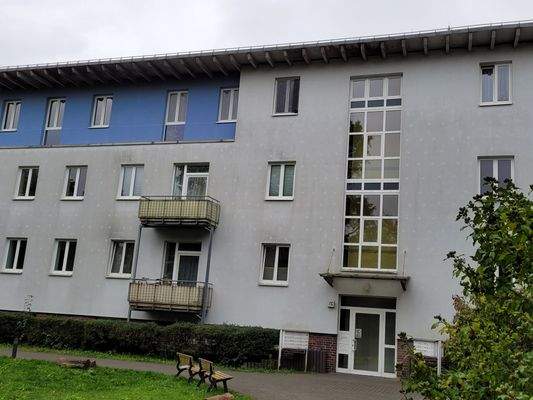 20251007_120023_resized